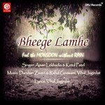 Bheege Lamhe - Hiren Jadvani Song Download